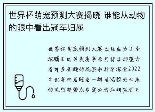 世界杯萌宠预测大赛揭晓 谁能从动物的眼中看出冠军归属